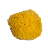 LOOT Sandy the Sea Sponge