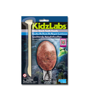 4M 5918T KidzLabs Dig Glow Shark Tooth Fossil - Bilingual