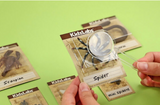 4m 3397 Kidzlabs Creepy Crawly Digging Kit