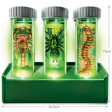 4m 3469 Kidzlabs Glow Critter Lab