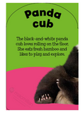 Baby Touch and Feel: Zoo Babies Board Book