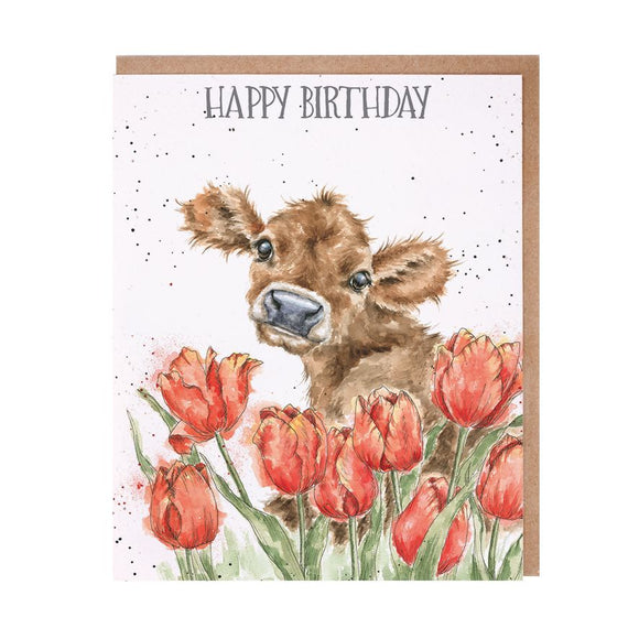 Birthday Card Cow 