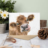 All Occasion Card - Mooo Cow