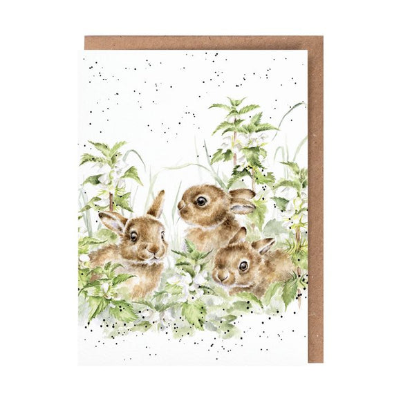 All Occasion Card - Spring Hares Leveret -In The Undergrowth