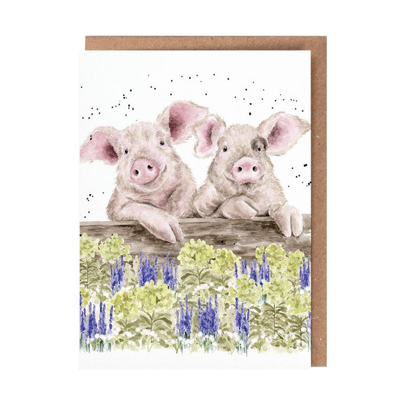 All Occasion Card - Nosy Neigh-boars Pig