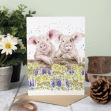 All Occasion Card - Nosy Neigh-boars Pig