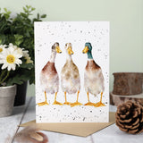 All Occasion Card - 'Tall Order' Duck