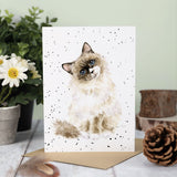 All Occasion Card - 'Paws for Thought' Cat