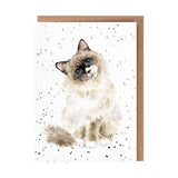 All Occasion Card - 'Paws for Thought' Cat
