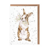 All Occasion Card - 'All Ears' Rabbit