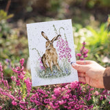All Occasion Card - The Wild Garden