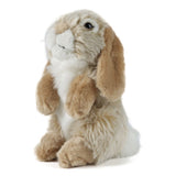 Brown Sitting Lop Eared Rabbit
