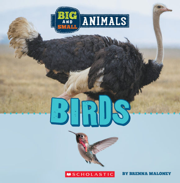 Big and Small: Birds Book