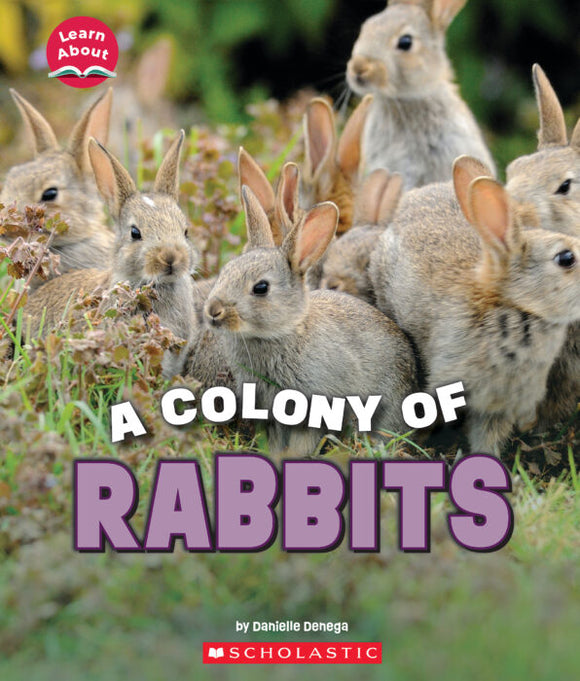Learn About: A Colony of Rabbits Book