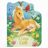 A Little Colt Board Book