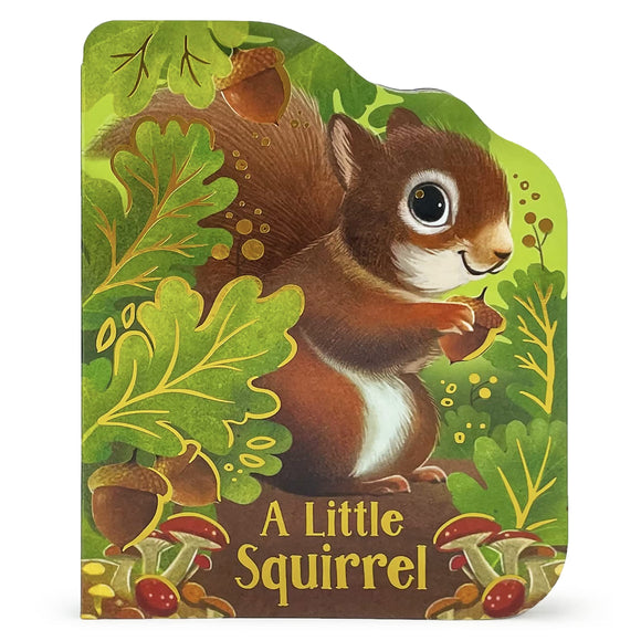 A Little Squirrel Board Book