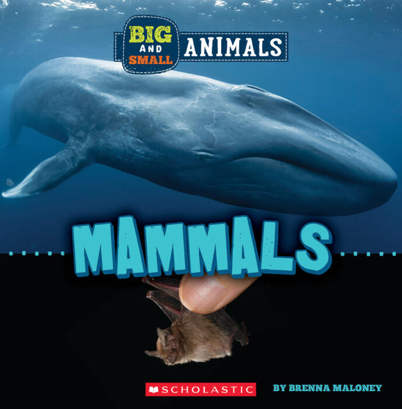 Big and Small: Mammals Book