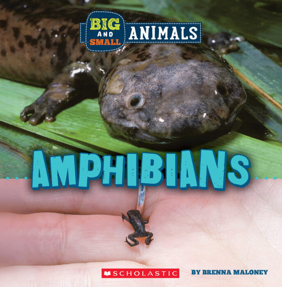 Big and Small: Amphibians Book