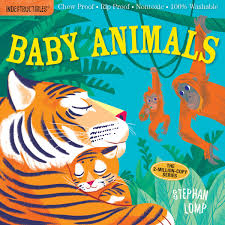 Indestructibles Baby Book Baby Animals