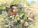 Cobble Hill 1000pc Puzzle 40162 Hidden Nest