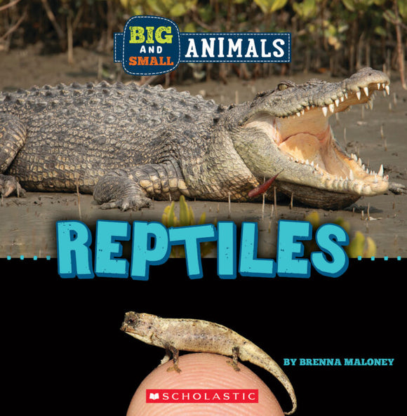 Big and Small: Reptiles Book