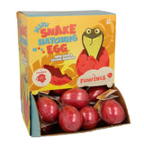 Mini Snake Hatching Eggs