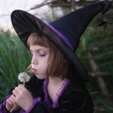 Great Pretenders 33093/33095 Vera the Velvet Witch Dress *