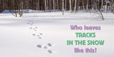 Whose Is It? Tracks Board Book
