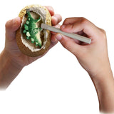 Thames & Kosmos I Dig it Dinos! - Dino Egg