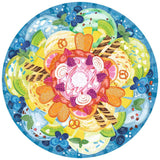 Ravensburger 500pc Puzzle 17348 Circle of Colors: Ice Cream