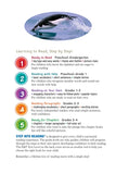 Step into Reading Step 2: Penguins! Book