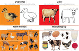 Wipe Clean: Early Learning Activity Book