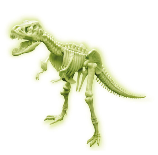 4M 3420 Glow T-Rex Skeleton *