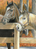 Coloured Pencil by Numbers Horse and Puppy