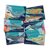 4m 4785 Mould & Paint Sharks