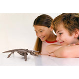 4m 3457T Kidzlabs Dig a Dinosaur Mosasaurus