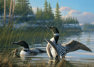 Cobble Hill 1000pc Puzzle 80107 Common Loons