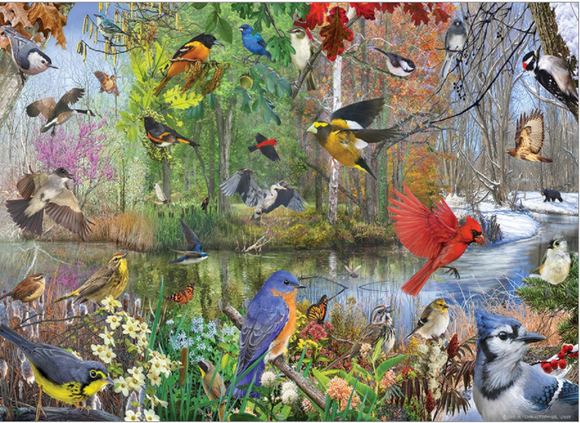 Cobble Hill 1000pc Puzzle 40163 Birds of the Season