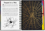 Scratch & Sketch Bugs!