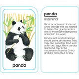 School Zone Flash Cards Animals of All Kinds Ages 4-UP
