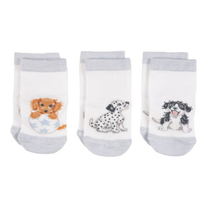 Wrendale Baby Socks Little Paws Dogs
