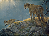 Cobble Hill 350pc Family Puzzle 54635 Excursion Cougar and Kits