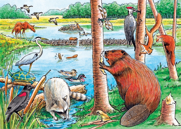 Cobble Hill 35pc Tray Puzzle 58802 The Beaver Pond